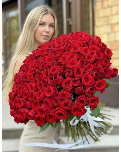 151 червона троянда