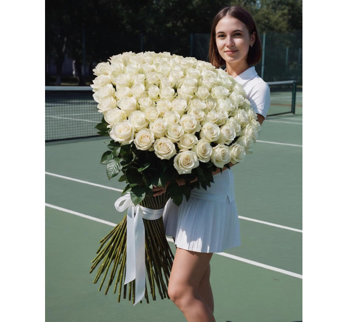 151 метрова імпортна біла троянда