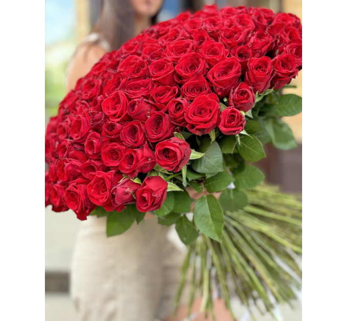 201  червона троянда