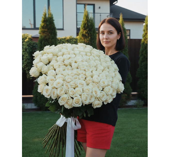 201 метрова імпортна біла троянда