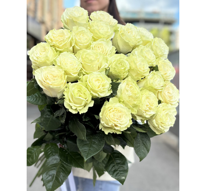 25 метрових імпортних білих троянд