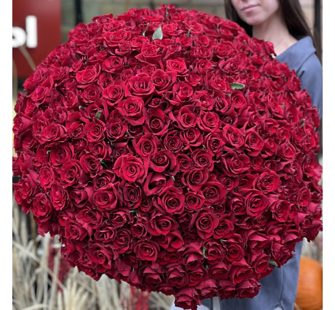 333 червоних троянди