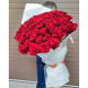 Букет з 75 метрових червоних троянд