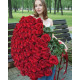 Букет зі 151 метрової червоної троянди