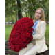 Букет з 201 метрової червоної  троянди