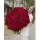 Букет з 201 метрової червоної  троянди