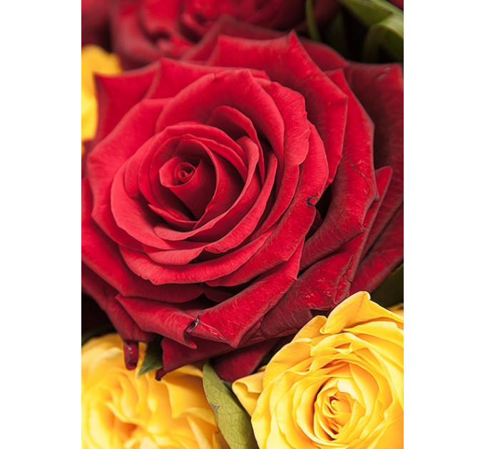 Букет червоних та жовтих троянд "Сонечко"