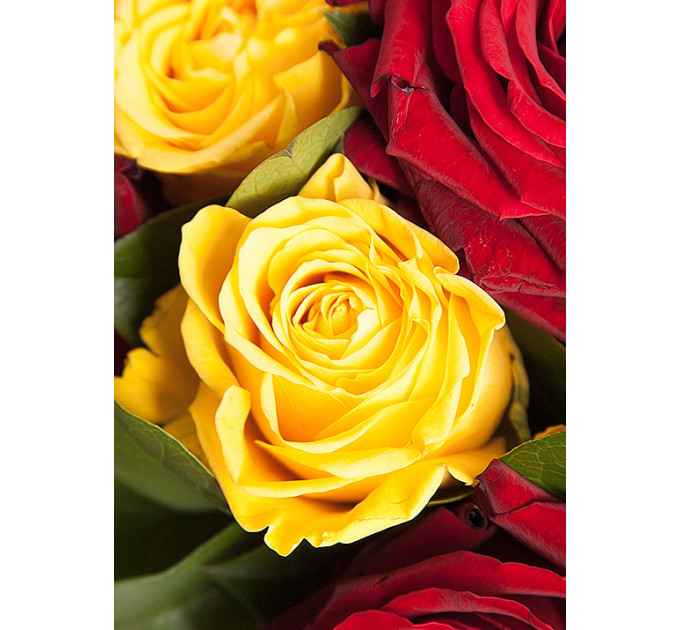 Букет червоних та жовтих троянд "Сонечко"