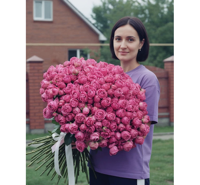 101 малинова кущова півоноподібна троянда Мисти баблс