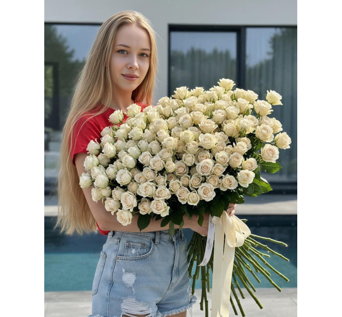 101 кремова кущова троянда Бомбастік