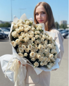 51 кремова кущова троянда Бомбастік