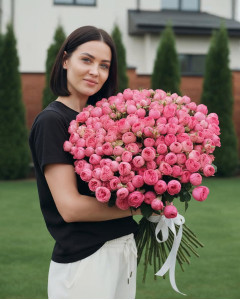 75 малинових кущових півоноподібних троянд Мисти баблс