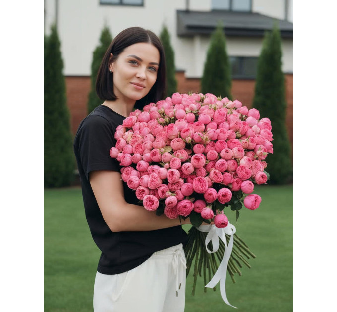 75 малинових кущових півоноподібних троянд Мисти баблс