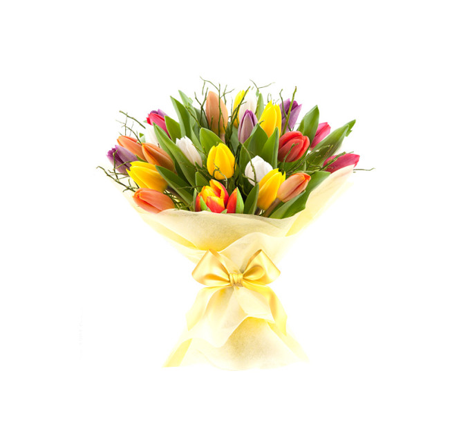 Мікс тюльпани