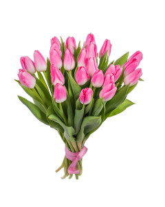 Рожеві тюльпани