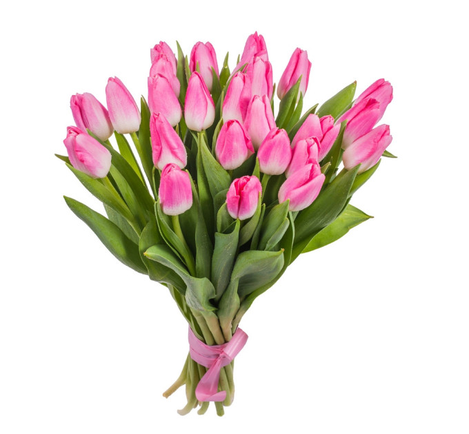 Рожеві тюльпани