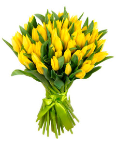 Жовті тюльпани