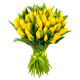 Жовті тюльпани