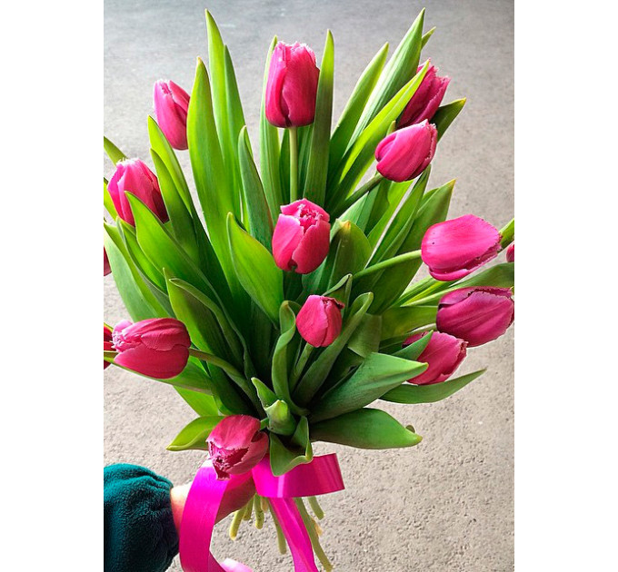 Рожеві тюльпани