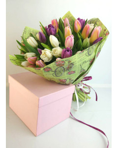 Мікс тюльпани